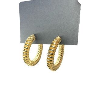 Lager gold spiral hoops